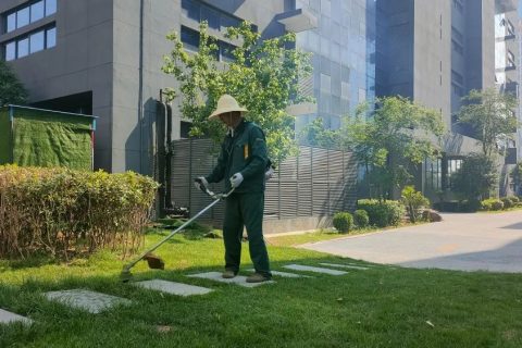感受夏日，體驗(yàn)涼爽，走進(jìn)這座創(chuàng)業(yè)之城！